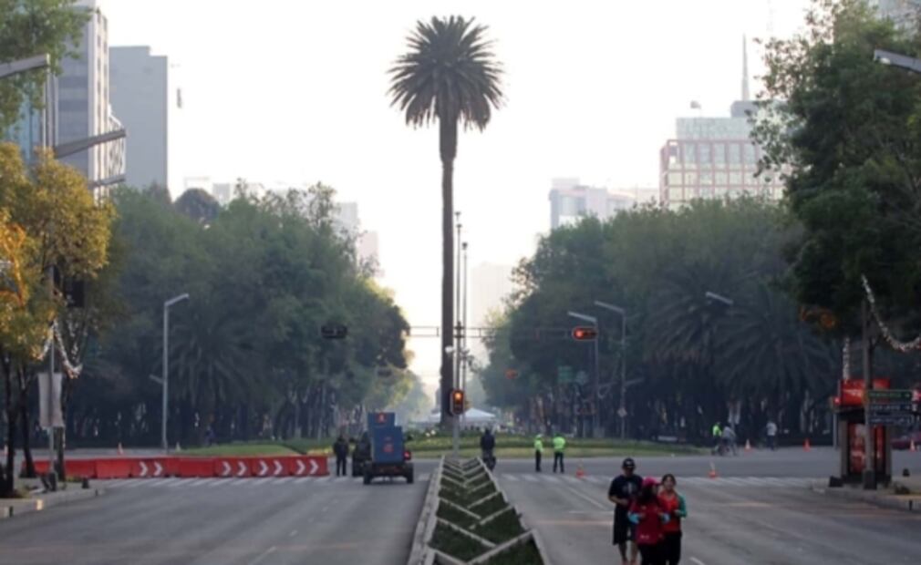 Además de La Palma, ¿Qué otros elementos históricos de Reforma han sufrido cambios?