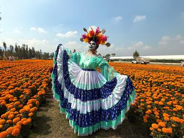 Así es el Festival del Cempasúchil 2025 en CDMX