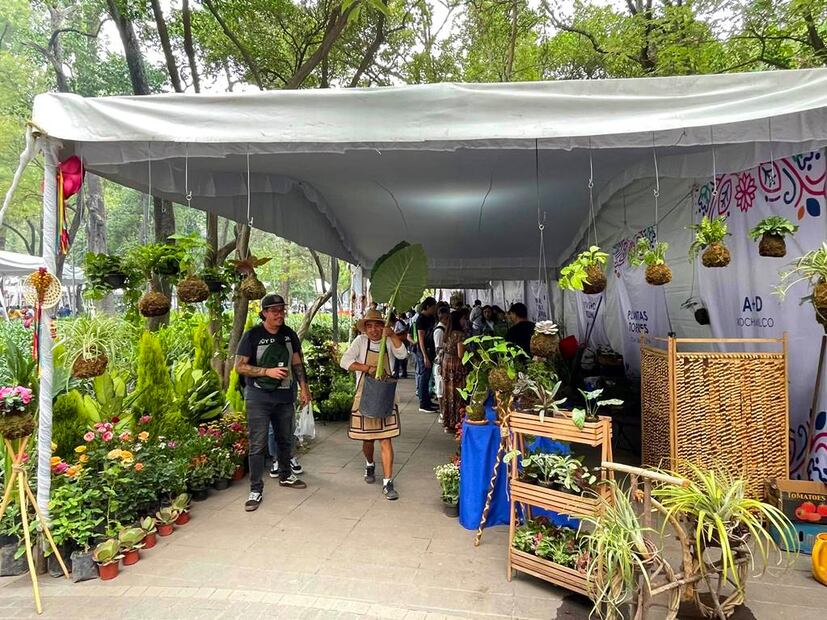 Foto: Alcaldía Álvaro Obregón