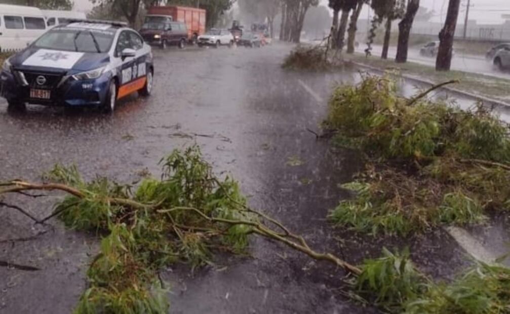 Lluvia, granizo y viento arrancan árboles y dejan sin luz a vecinos de Ixtapaluca