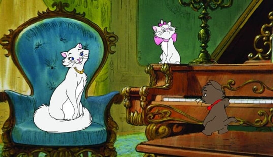 En este Día internacional del gato, maúllan en televisión y cine 