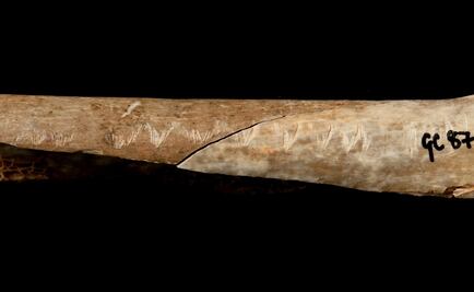 Huesos prehistóricos muestran canibalismo ritualista