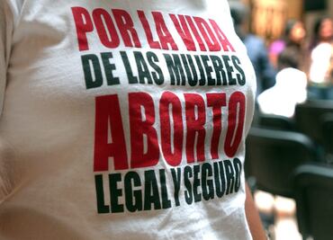 Congreso de Guanajuato rechaza despenalización del aborto; voto de diputada Luz Itzel Mendo, fue clave