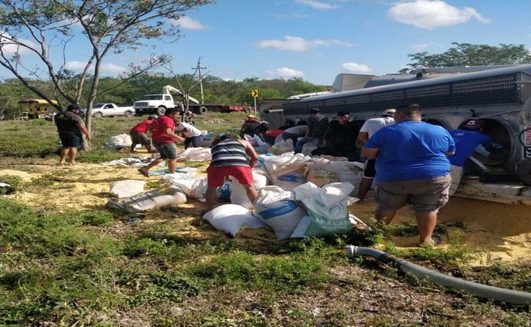 Un accidente en la carretera Mérida-Campeche,provocó la rapiña de alimentos balanceados y para animales, al volcarse el tráiler que los transportaba.