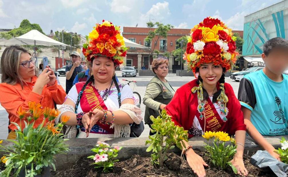 En el arranque se plantaron árboles en las jardineras de la Plaza Garibaldi, en la alcaldía Cuauhtémoc, y en los camellones aledaños. Foto: Especial.