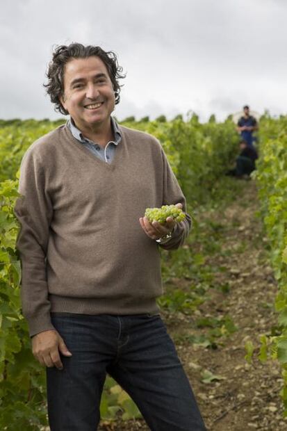 Descubre los vinos del Valle de Loira en Francia