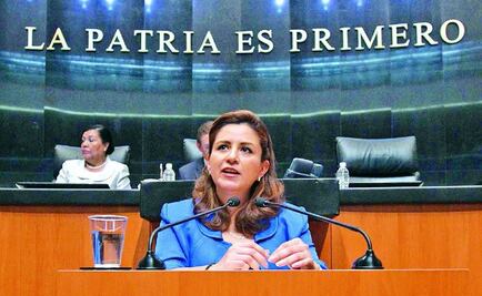 Martha Tagle propone reducir 50% dietas de senadores