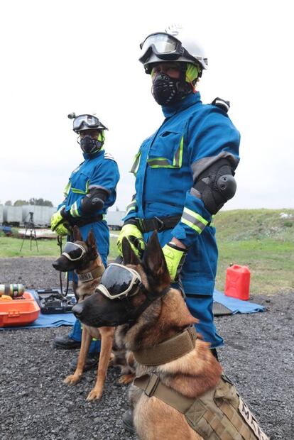 La perrita Frida deja escuela: estos son sus herederos