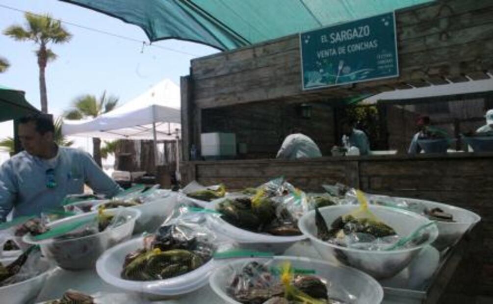 Ensenada festeja una edición más del Festival de las Conchas y el Vino Nuevo