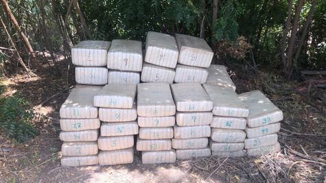 Aseguran 375 kilos de presunta marihuana en Sinaloa