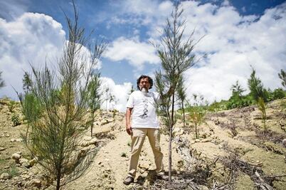 Presenta Bienestar programa para plantar árboles en el país