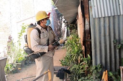 Secretaría de Salud reporta disminución en casos de dengue en Yucatán