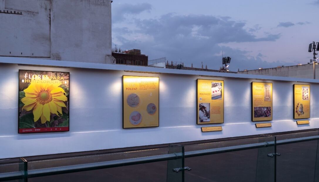 Exposición "Flores para Huitzilopochtli", en el corredor peatonal de República de Guatemala y Argentina, en en Centro Histórico de la Ciudad de México.
