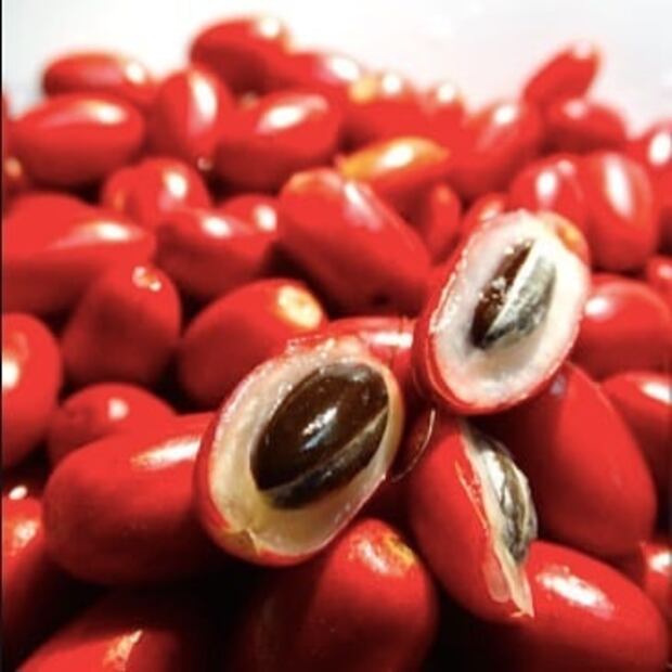 Esta milagrosa baya confundirá tus papilas gustativas 