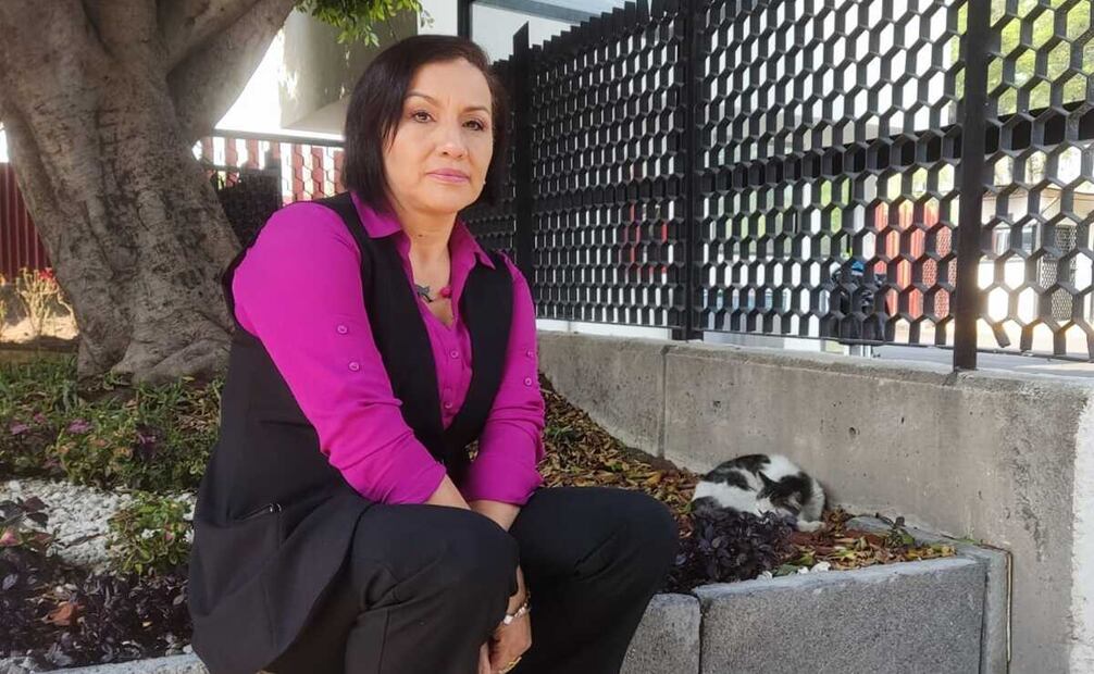 Sandra Barrera, empleada desde hace más de 30 años en la Cámara baja, colabora con el cuidado y alimentación de los felinos. Foto: Arturo Zárate Vite / EL UNIVERSAL