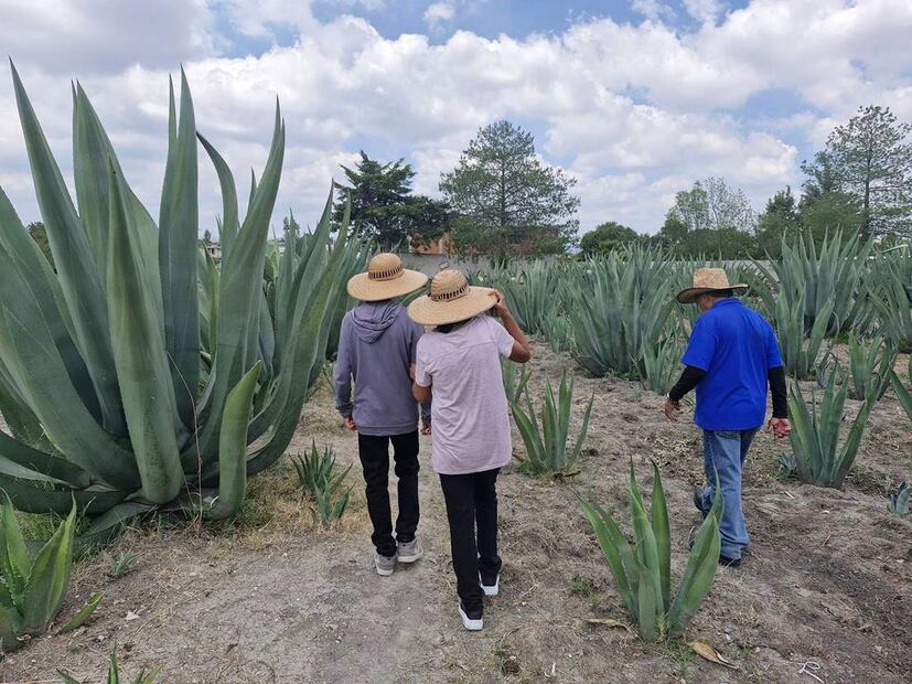 Foto: Paseos Turísticos