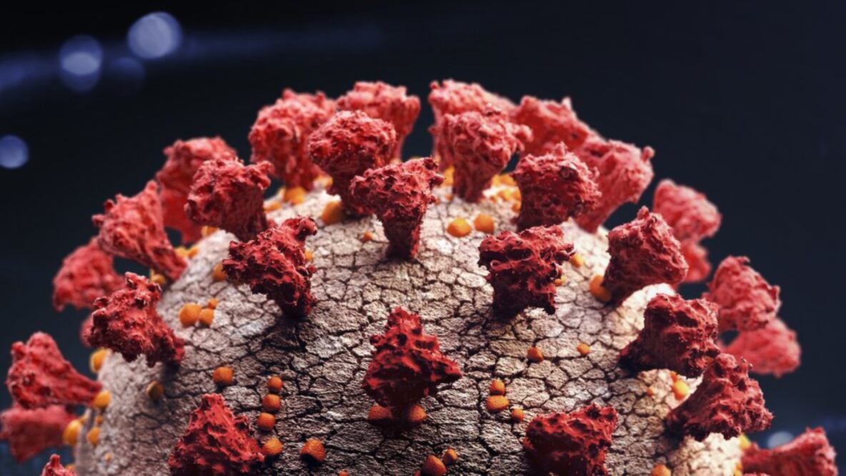 La pandemia del coronavirus ha causado millones de muertes a nivel mundial. Imagen: Getty vía BBC