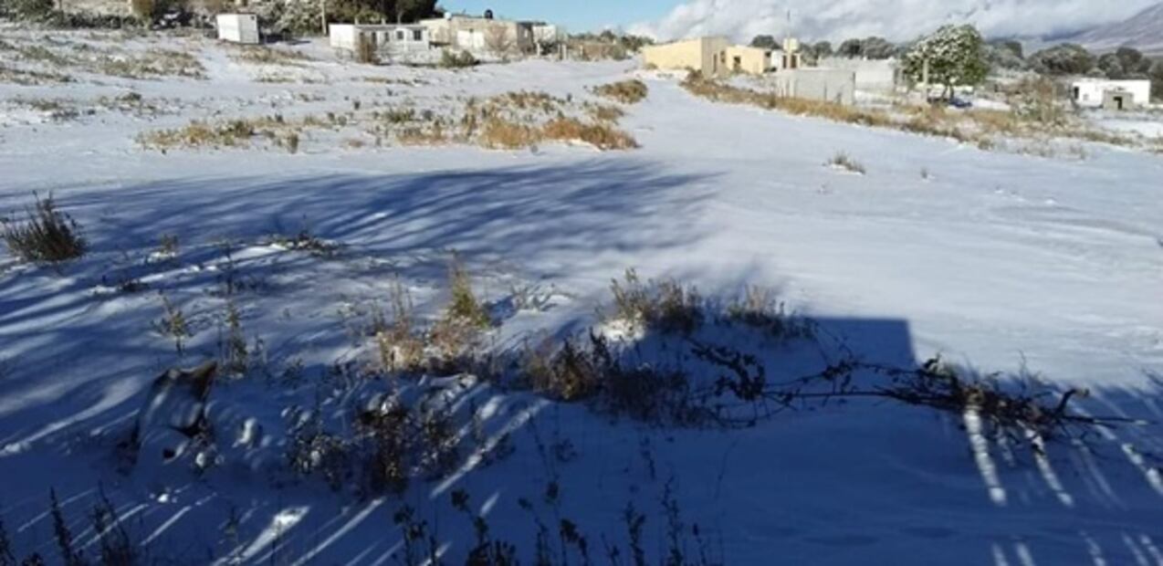 Zacatecas reporta caída de nieve y bajas temperaturas 