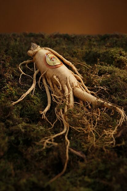 Ginseng para la energía. Fuente: Pixabay