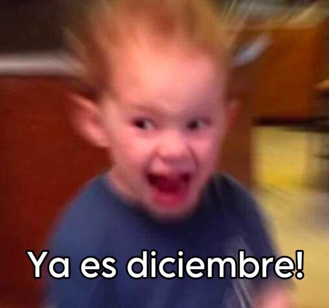 Los mejores memes para recibir a diciembre 2024. Foto: Redes sociales