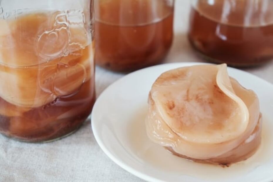 Kombucha, beneficios a la salud y usos