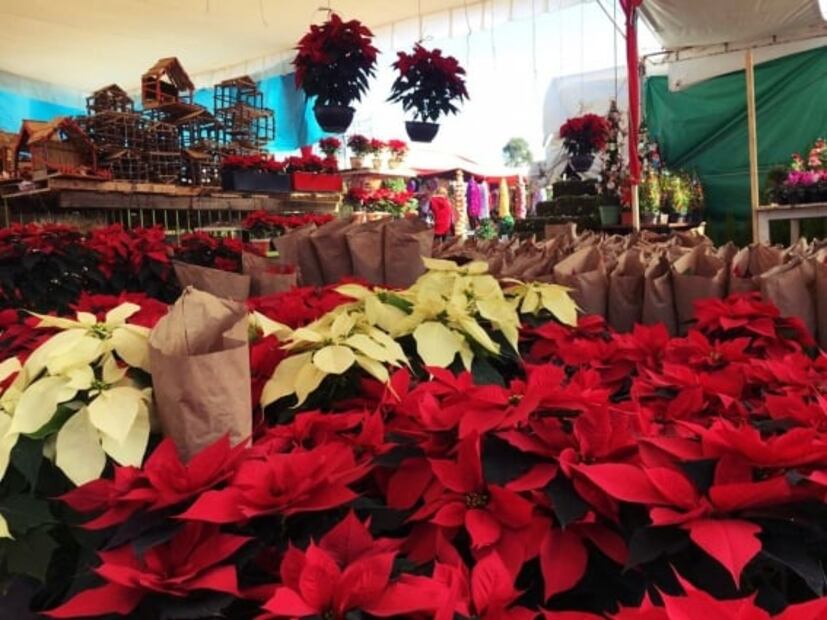 Así será la feria de la Nochebuena en la CDMX