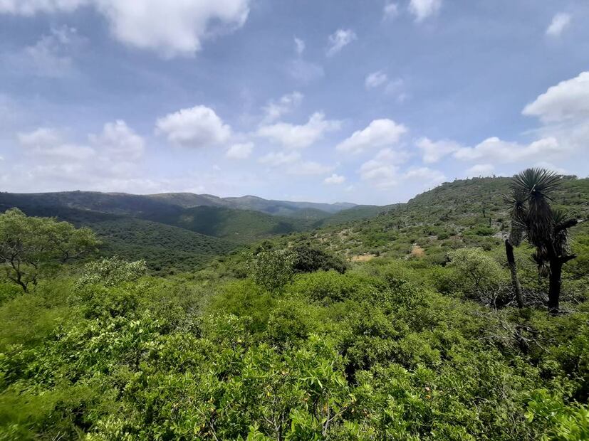 Vista del entorno