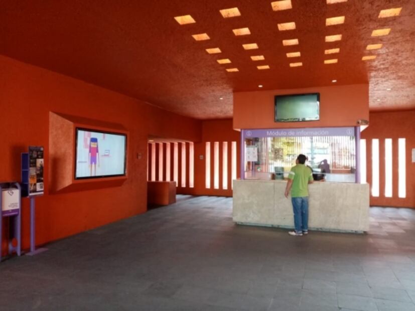 ¿Coyoacán o Kabul? 