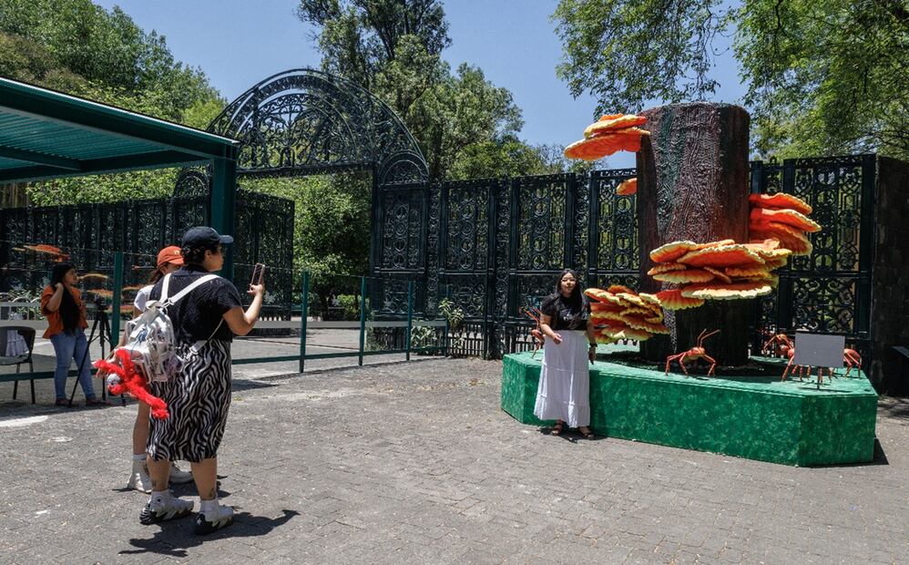 Visitantes observan uno de los seis hongos monumentales forman parte del festival Spora, que este año se realizará del 17 al 20 de abril en Chapultepec, el viernes 11 de abril de 2025. Foto: Yaretzy M. Osnaya/EL UNIVERSAL