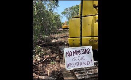 Activistas combatirán revocación de suspensiones definitivas en Tramo 5 Sur del Tren Maya