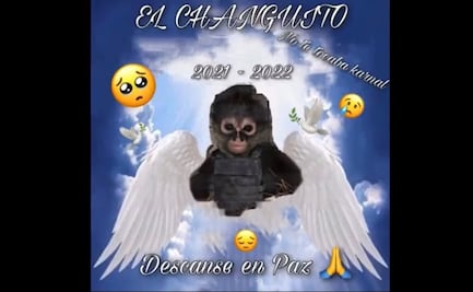 Componen "changocorrido" a mono araña abatido en enfrentamiento en Texcaltitlán 