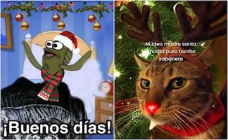 Diciembre 2025: los mejores memes para dar la bienvenida al último mes del año