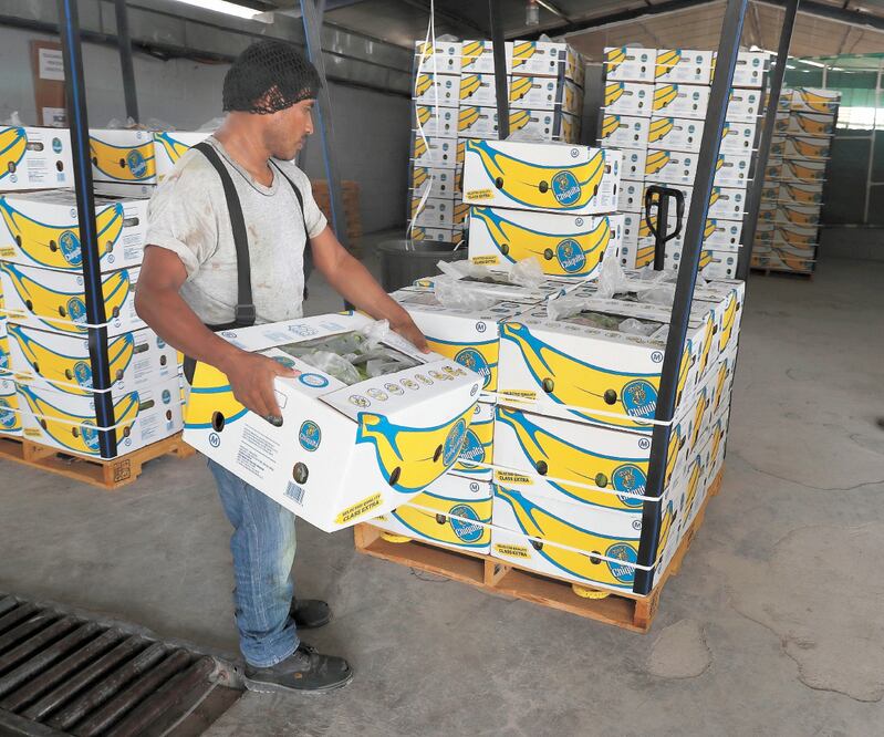 Prevén afectación a un millón de trabajadores si bloquean frutas. ARCHIVO EL UNIVERSAL