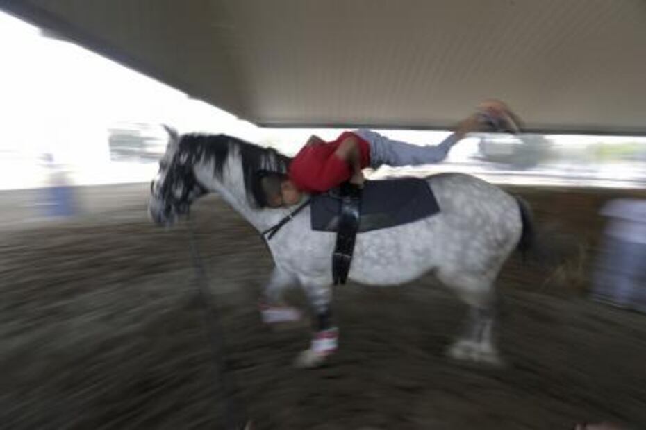 Caballos policías ayudan a niños con autismo