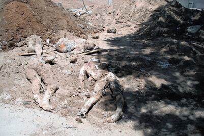 Narcofosas Durango: cementerio de desaparecidos