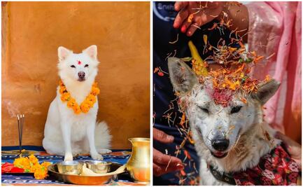 ¿Qué es el Kukur Tihar, festival dedicado a honrar a los perros en Nepal?