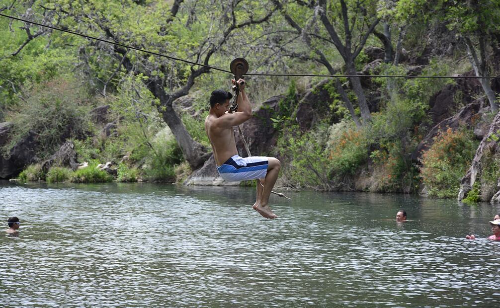 Foto: Ah Chihuahua