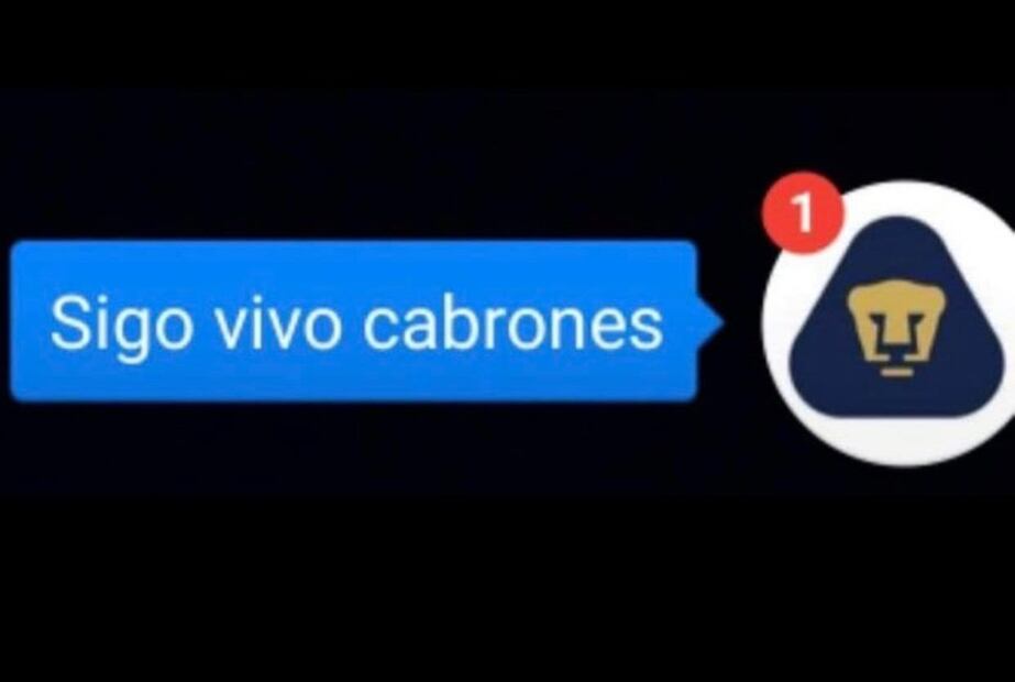 Memes Pumas
