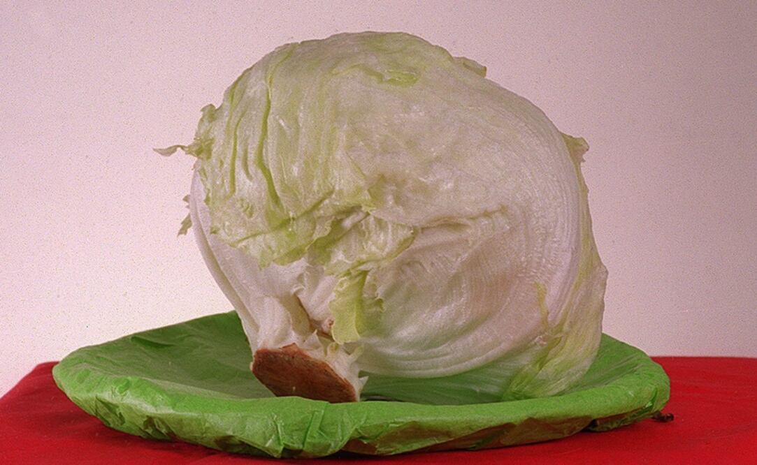 La mayoría de las bacterias de E. coli son benignas, pero algunas cepas pueden causar enfermedades, con síntomas como: fuertes dolores estomacales, diarrea y vómito. Foto: Archivo / EL UNIVERSAL