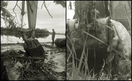 Manatí murió en dragado de río y no en acuario, responden a gobierno de Veracruz