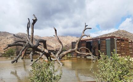 Momentos clave del Congreso Mundial de la Viña y el Vino OIV