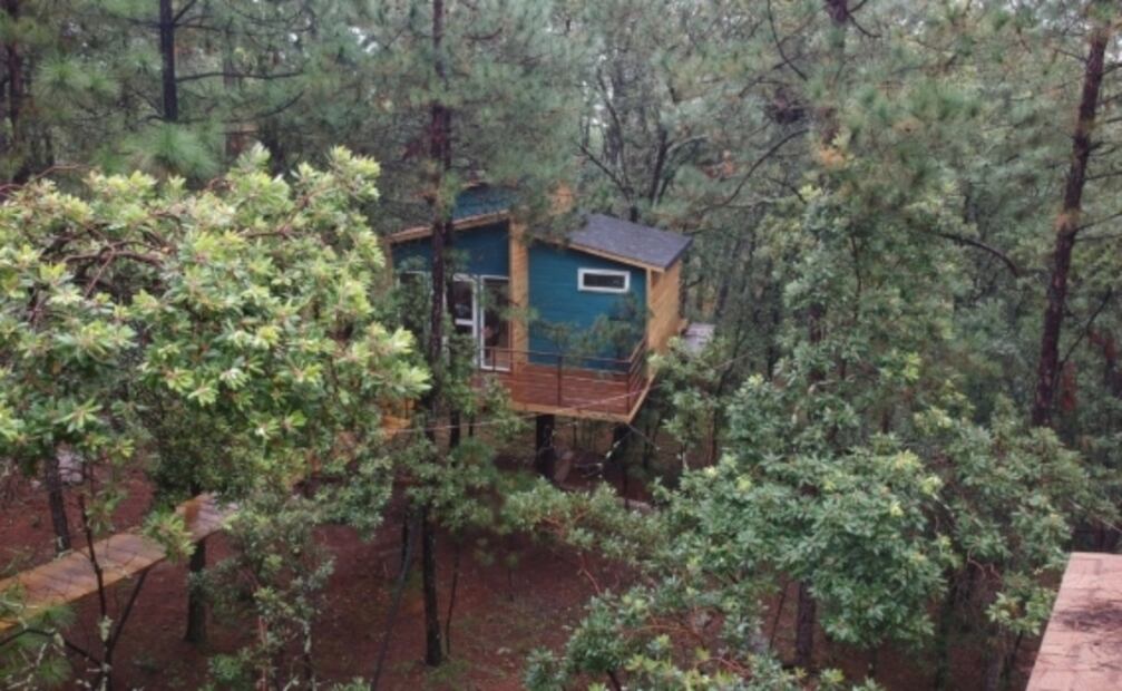 El glamping de Hidalgo con casas del árbol en el bosque