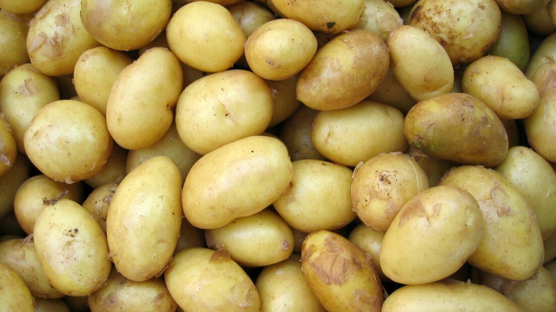 Las papas contienen almidón, partícula espesante. Foto: Unsplash