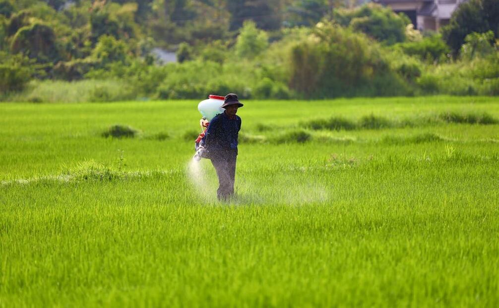 Dentro del comunicado también se informó que se promoverán soluciones ambientales sustentables para fertilizantes. Foto: Pexels