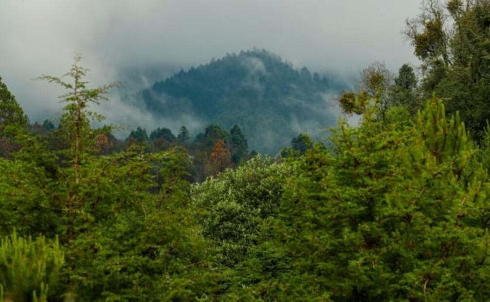 Conoce el nuevo glamping cerca del Centro Ceremonial Otomí