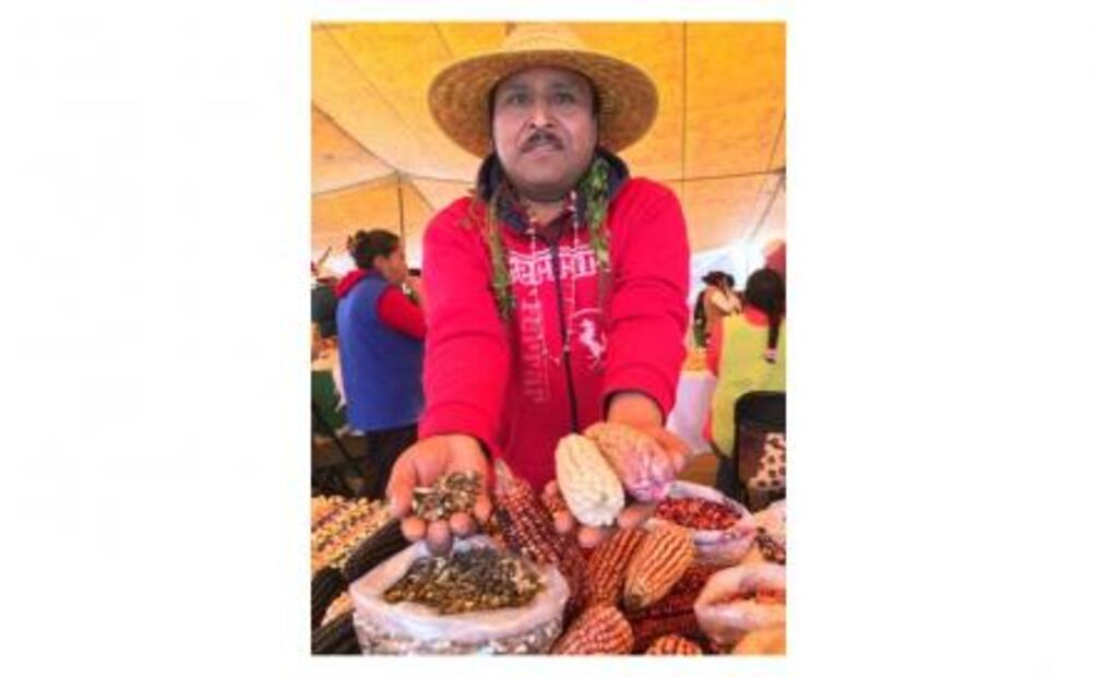 Celebrando al maíz mexicano