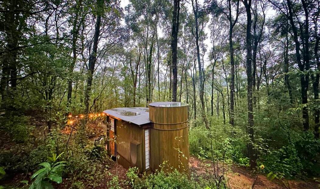 Foto: Omar Moreno. El Universal