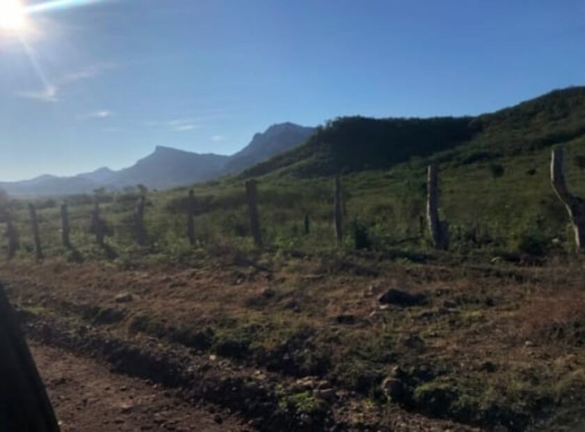 Laboratorios al aire libre y mucho dinero; así se cocina el fentanilo en Sinaloa