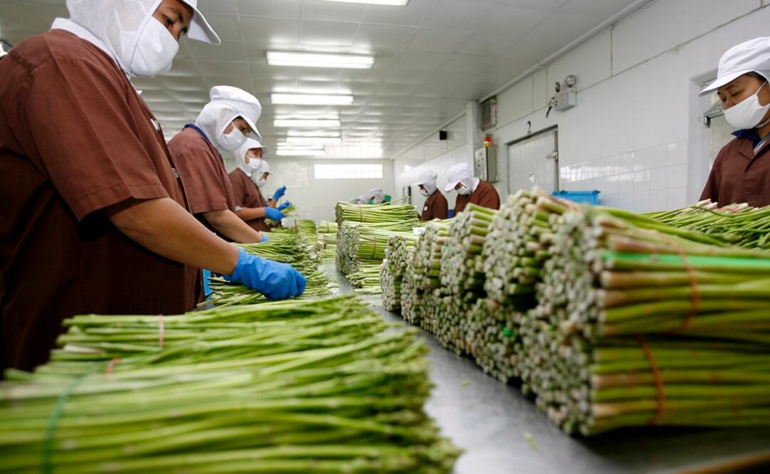 Imagen ilustrativa. Foto: EFE