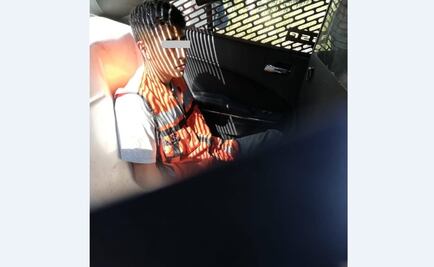 Detienen a hombre por robar cable en Lomas de Chapultepec 